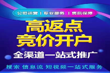 SEM竞价代运营公司案例对比分析